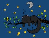 El gato y la luna