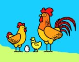 Familia gallina