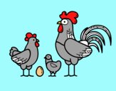 Familia gallina