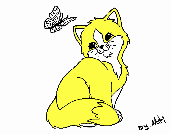 Gatito y mariposa