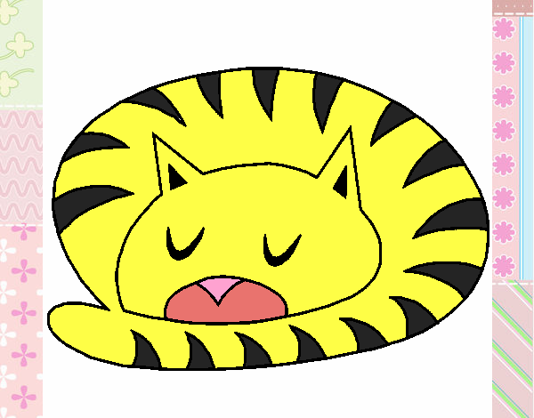 Gato durmiendo