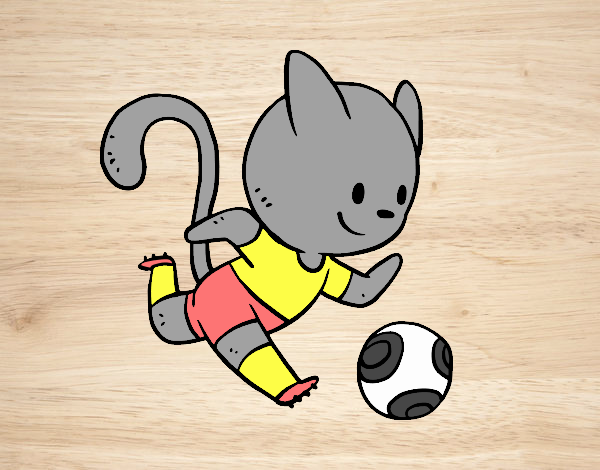 Gato jugando a fútbol