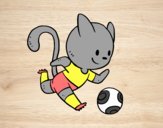 Gato jugando a fútbol