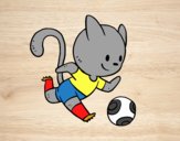 Gato jugando a fútbol