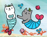 Gatos sirena