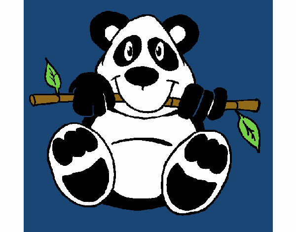 Oso panda