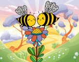 Pareja de abejas