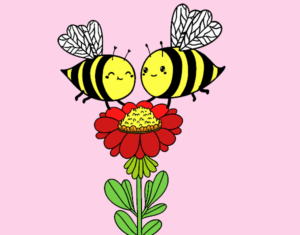 Pareja de abejas