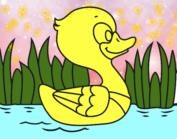 Patito de río