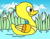 Patito de río