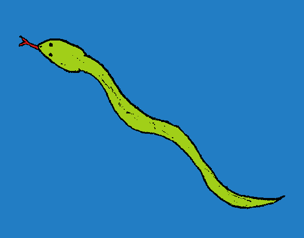 Serpiente venenosa