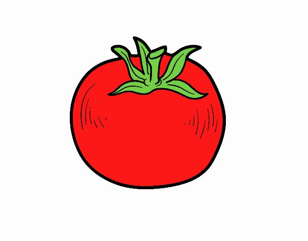 Tomate ecológico