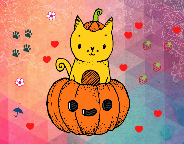 Un gatito de Halloween