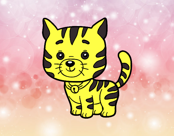 GATO  KAWAII