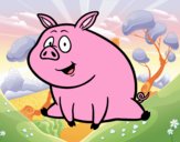 Cerdito de granja