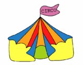 Circo