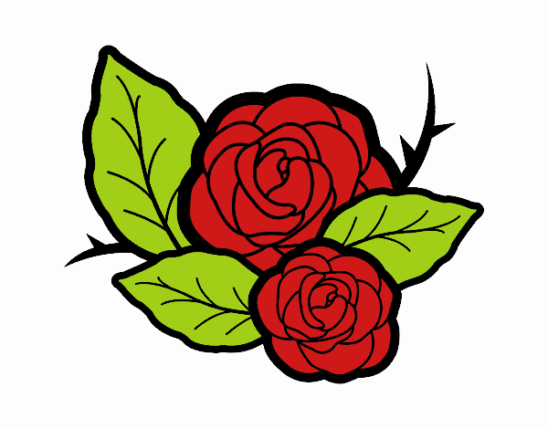 Dos rosas