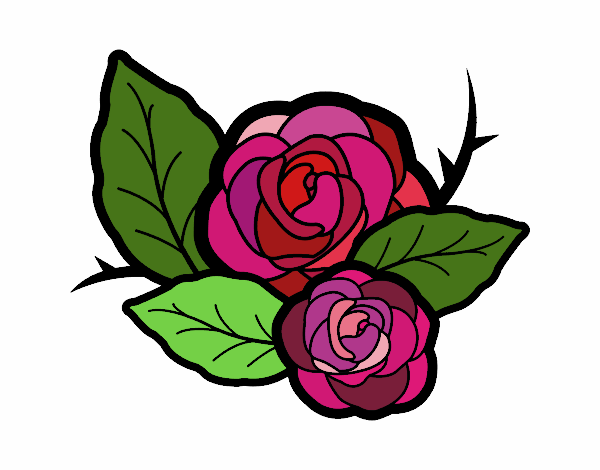 Dos rosas