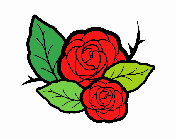 Dos rosas