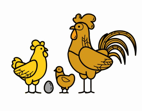 Familia gallina