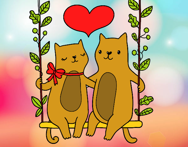 gatos enamorados