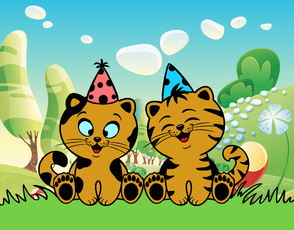 Gatos de cumpleaños