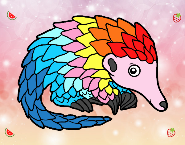 Pangolin