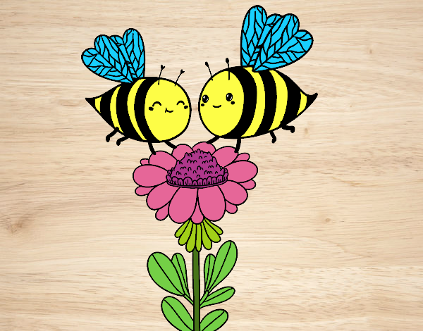 Pareja de abejas