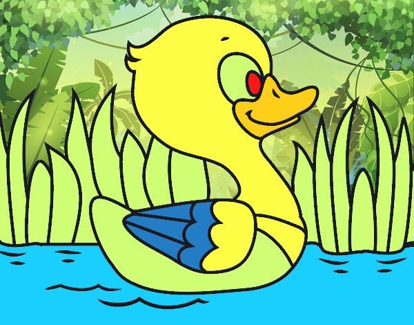 Patito de río