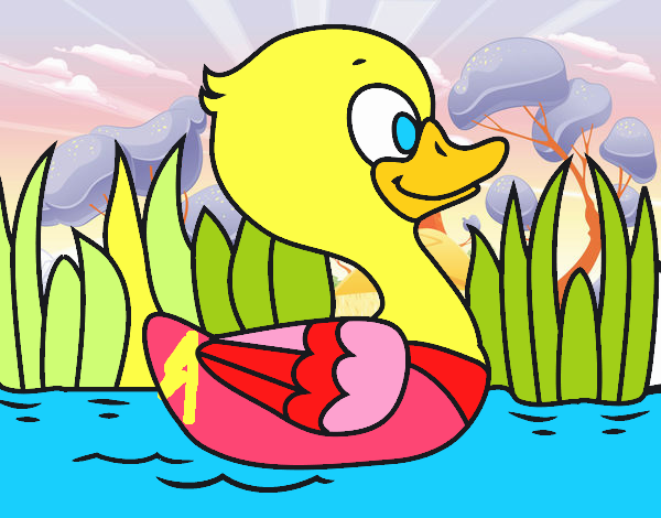 Patito de río