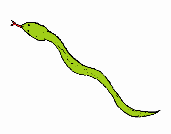 Serpiente venenosa