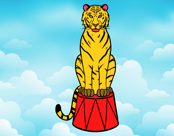 Tigre de circo