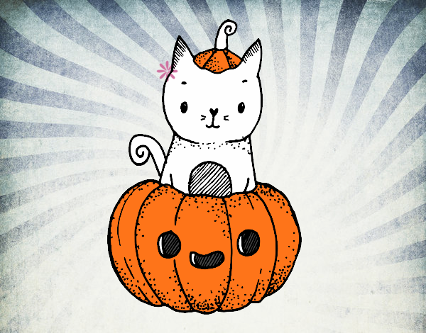 Un gatito de Halloween