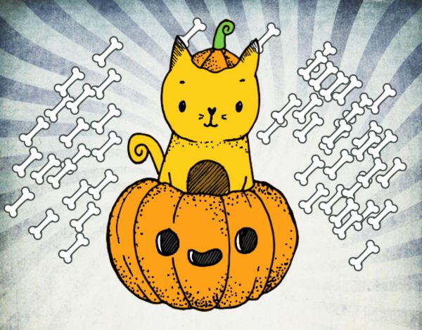 Un gatito de Halloween