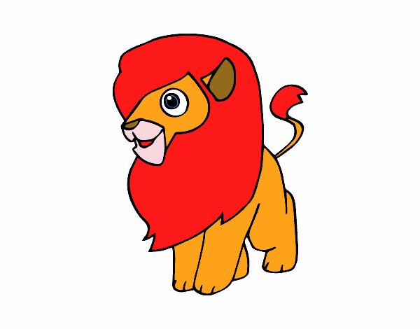 Un león