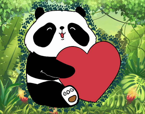 Amor Panda