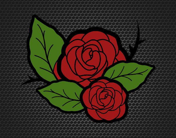 Dos rosas