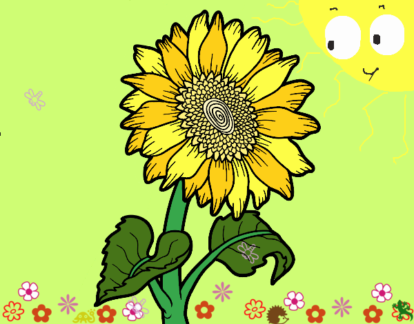 flor de girasol