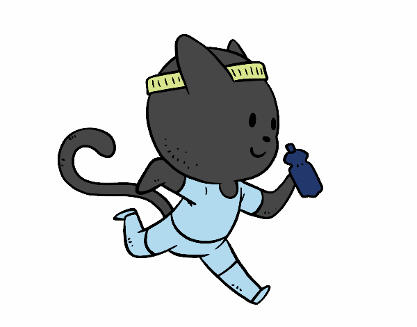 Gato runner