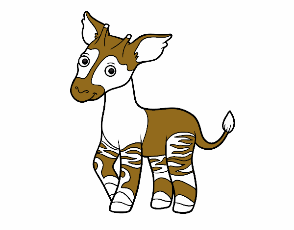 Okapi