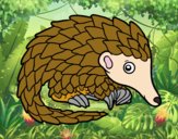 Pangolin