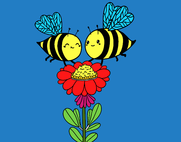 Pareja de abejas