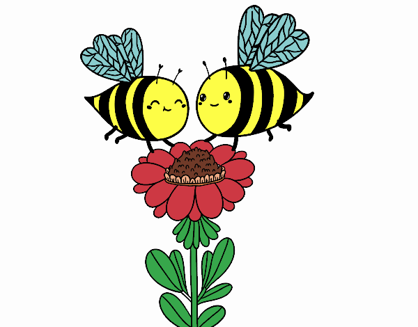 Pareja de abejas