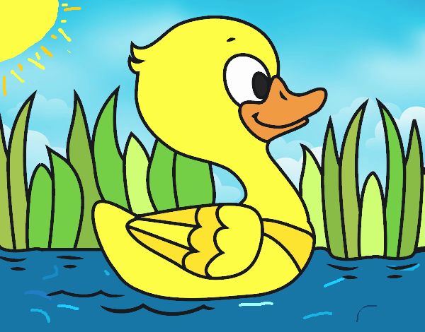 Patito de río