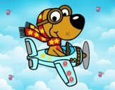 Perro piloto