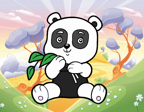 Un oso panda