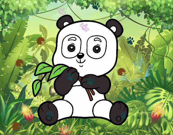 el panda de la selva