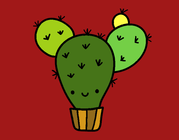 Cactus nopal