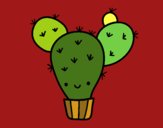 Cactus nopal