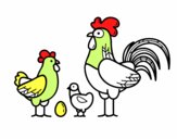 Familia gallina